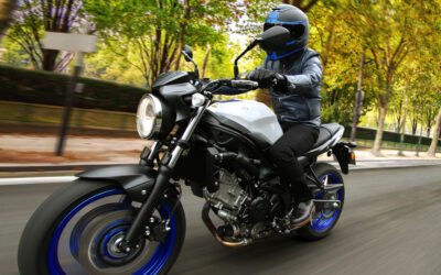 Suzuki SV 650: Pura moto naked