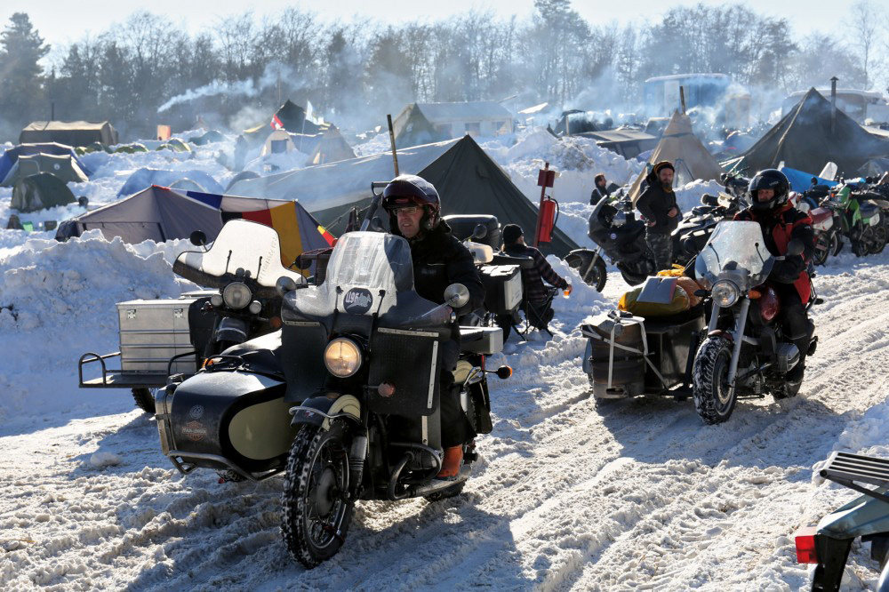 Concentración Elefantes