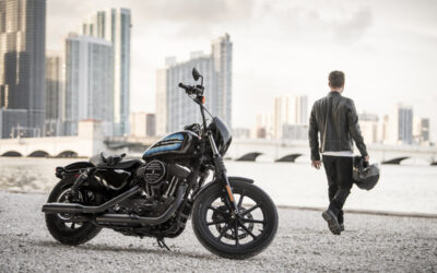 Harley Davidson Iron 1200 2018