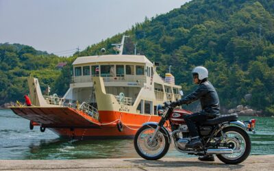 Kawasaki W800 2022, eterna