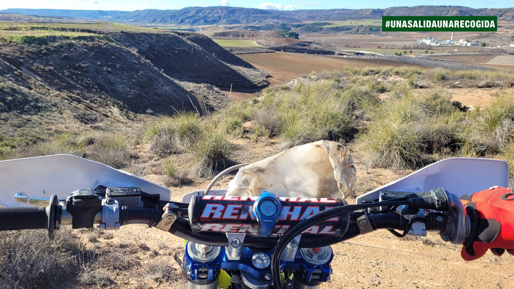 UNA SALIDA UNA RECOGIDA