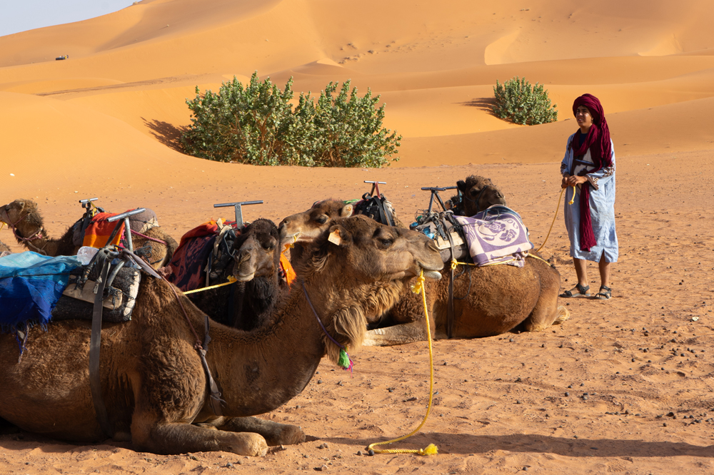 Un momento para el relax en Merzouga