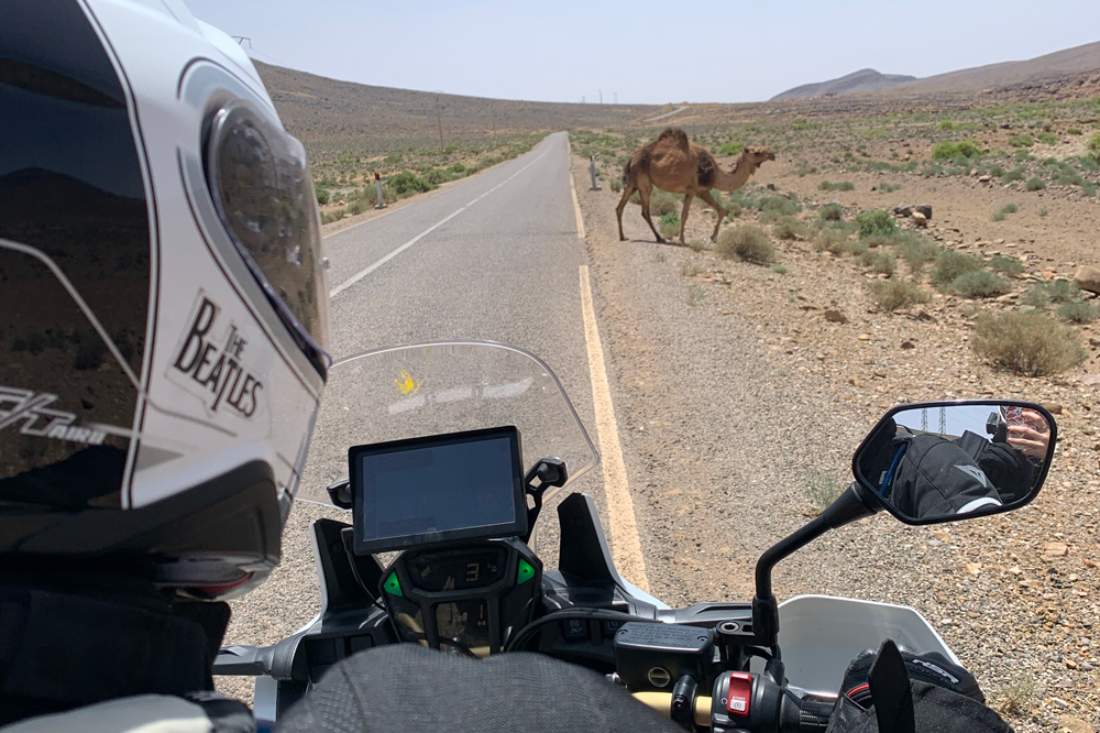 Ojo con lo que te encuentras en la carretera