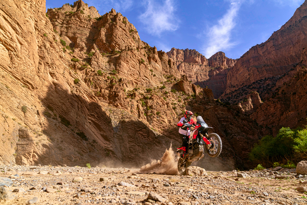Ducati DesertX Rally 2024